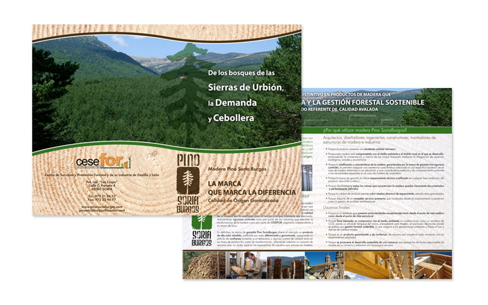 Diseño e Impresión Díptico