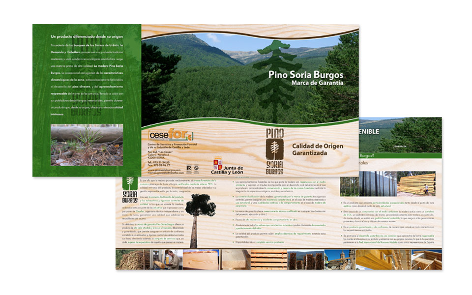 Diseño e Impresión Tríptico